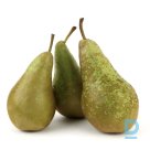 For sale Pears Conference 70+ 2nd class, Netherlands (unit of measurement: kg)