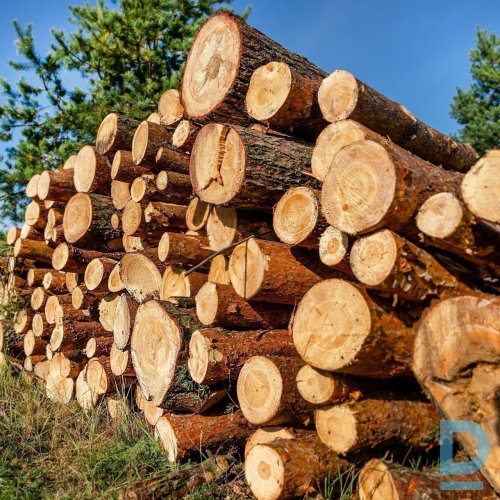 Apauguma attīrīšana Apauguma attīrīšana