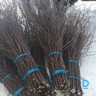 Продают Мётлы берёзовые