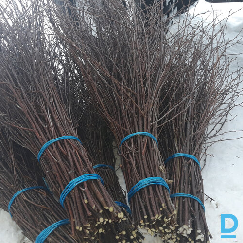 Pārdodu bērzu slotas