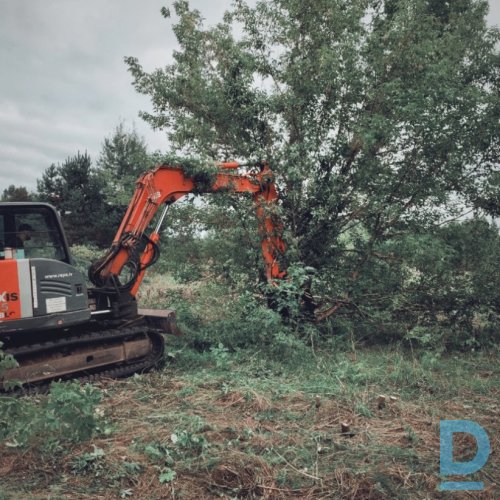 Apaugumu Un Meza Zemju Attirisana