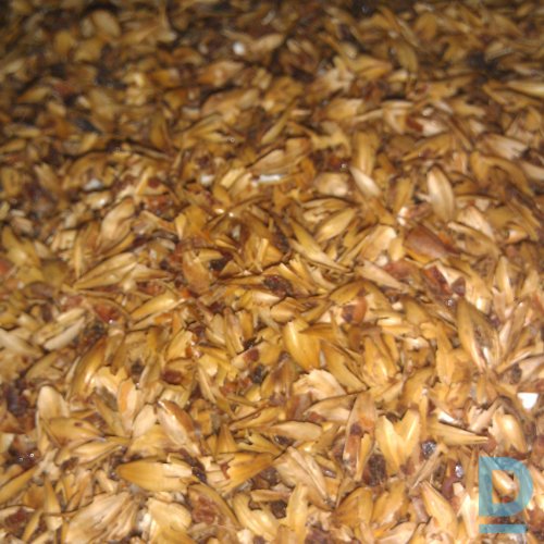 Pārdod Placināti graudi