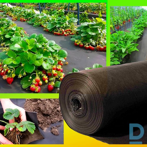 Pārdod Agroplēve melna 3.20 x10 m, 60 g/m2