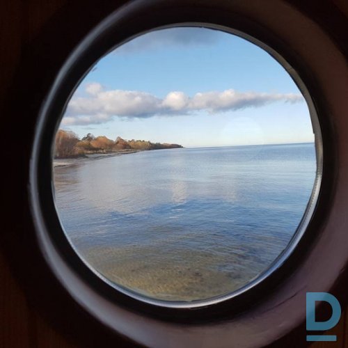 Viesu nams, Rudzīši