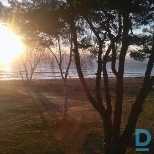 Viesu nams, Rudzīši