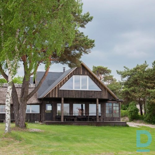 Viesu nams, Rudzīši