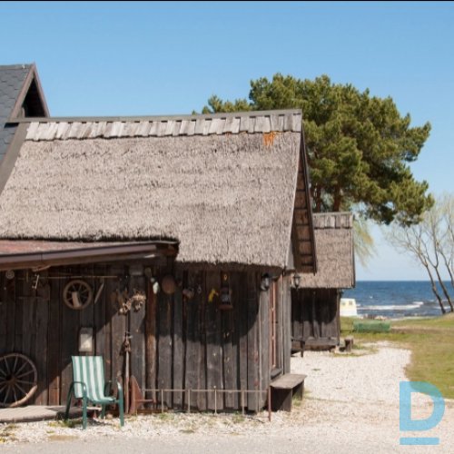 Viesu nams, Rudzīši