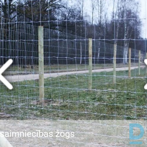 Piedāvā Teritorijas labiekārtošana