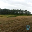 Land for sale Mesteri 