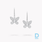 Продают Graff Pavé Butterfly Diamond Drop Earrings