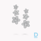 For sale Graff Wild Flower Diamond Drop Earrings