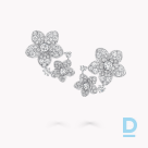 For sale Graff Wild Flower Diamond Drop Earrings