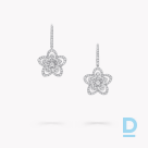 For sale Graff Wild Flower Diamond Earrings