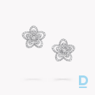 Pārdod Graff Wild Flower Diamond Stud Earrings