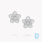 For sale Graff Wild Flower Large Diamond Stud Earrings