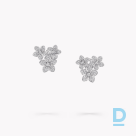 Продают Graff Wild Flower Diamond Cluster Stud Earrings