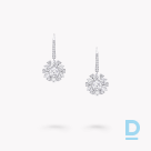 For sale Graff Round Diamond Cluster Earrings