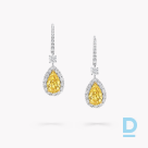 For sale Graff Icon Pear Shape Yellow and White Diamond Earrings