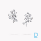 For sale Graff Carissa Diamond Stud Earrings