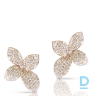 Продают Pasquale Bruni Secret Garden Earrings