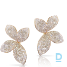 Продают Pasquale Bruni Secret Garden Earrings