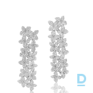 Продают Pasquale Bruni Goddess Garden Earrings