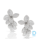 Pārdod Pasquale Bruni Star In Flower Earrings