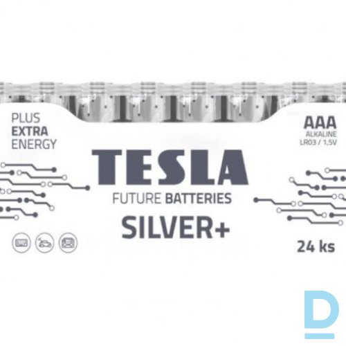 Pārdod Tesla Alkaline Baterijas Silver+ AAA LR06 24gab.