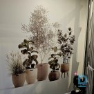 Printing of walls or other vertical surfaces with UV LED colors