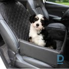 Pet car seat (PAG447F)