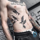 Предлагает Черно-белые татуировки