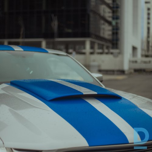 Pārdod Ford Mustang, 201