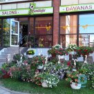 Ziedu Fantāzija, Flower shops