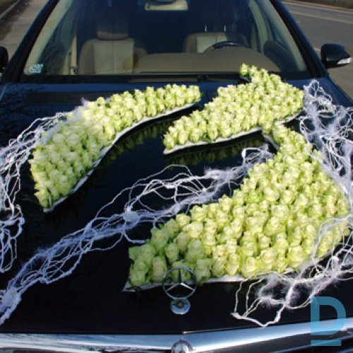 Auto dekorēšana Auto dekorēšana