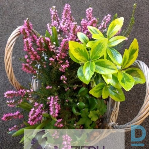 Lieldienu kompozīcija 4