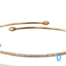 For sale Pasquale Bruni Choker Petit Garden For sale Pasquale Bruni Choker Petit Garden