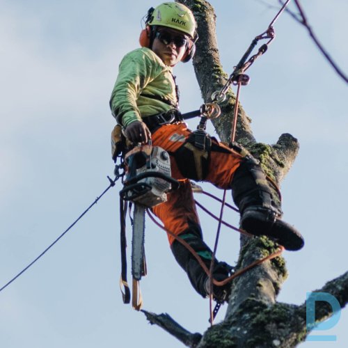 Piedāvā Krūmu/koku apgriešana, apkopšana