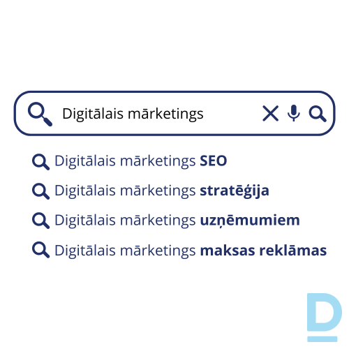 SEO Audits un Optimizācija