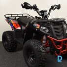 Новый квадроцикл ATV SPORT 200 CCM, 180 см³, 2024 г.в.