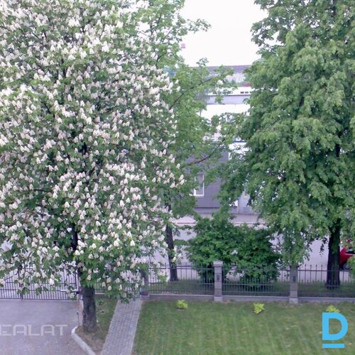 Izīrē salona telpas Rūpniecības iela 42 Izīrē salona telpas Rūpniecības iela 42