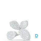 Pārdod Pasquale Bruni Secret Gardens Ring