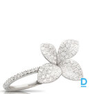 Pārdod Pasquale Bruni Petit Garden Ring