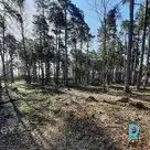 Zemes kopējā platība: 2434 m² Zemes statuss: meža zeme 2379 m² Orientējoši transformējamā meža zemes daļa — zemes daļa, kas izmantojama būvniecībai: 627 m² Atļautais apbūves augstums: 10 m Atļautais augstums stāvos: 2 (2,5) Izmantošanas veids tikai nek