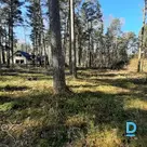 Zemes kopējā platība: 2398 m² Zemes statuss: meža zeme 2398 m² Orientējoši transformējamā meža zemes daļa — zemes daļa, kas izmantojama būvniecībai: 622 m² Atļautais apbūves augstums: 10 m Atļautais augstums stāvos: 2 (2,5) Izmantošanas veids tikai nek