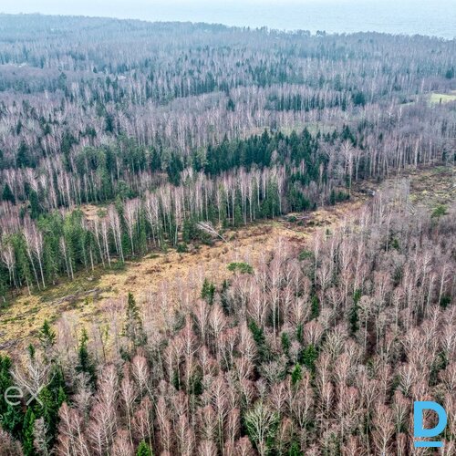 Pārdošanā zemes gabals Skultes pagastā, netālu no jūras. • Ir iespējama sadale līdz 2500m²