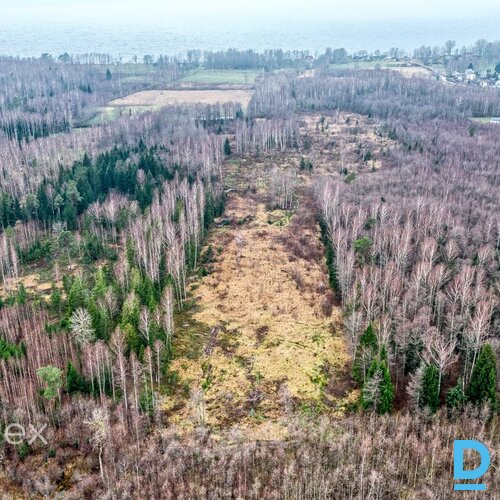 Pārdošanā zemes gabals Skultes pagastā, netālu no jūras. • Ir iespējama sadale līdz 2500m²