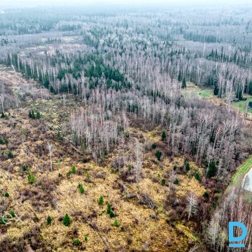 Pārdošanā zemes gabals Skultes pagastā, netālu no jūras. • Ir iespējama sadale līdz 2500m²