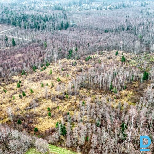 Pārdošanā zemes gabals Skultes pagastā, netālu no jūras. • Ir iespējama sadale līdz 2500m²