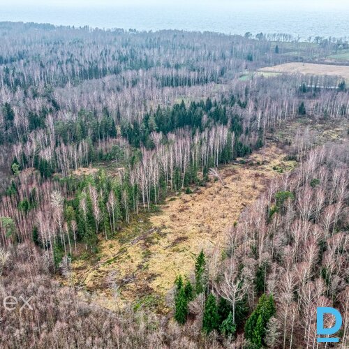 Pārdošanā zemes gabals Skultes pagastā, netālu no jūras. • Ir iespējama sadale līdz 2500m²