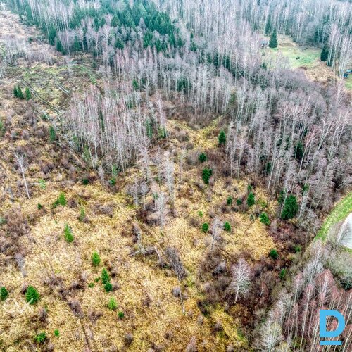 Pārdošanā zemes gabals Skultes pagastā, netālu no jūras. • Ir iespējama sadale līdz 2500m²